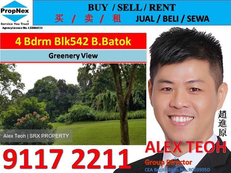 Blk 542 Bukit Batok Street 52 (Bukit Batok), HDB Executive #194216612